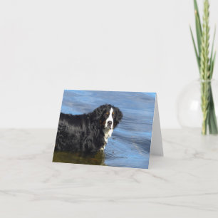 Berner Sennenhund Welpen Grußkarte Karte
