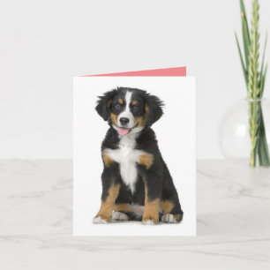 Berner Sennenhund Welpen Grußkarte Karte