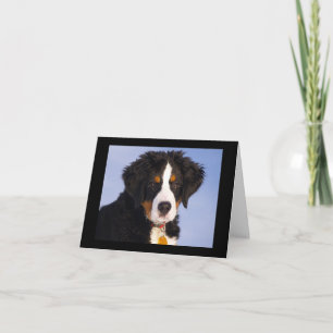 Berner Sennenhund Welpen Grußkarte Karte