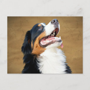 Berner Sennenhund-Welpen-Hund leere Postkarte