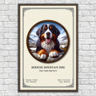 Berner Sennenhund Zoologie-Serie Poster