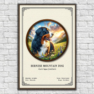 Berner Sennenhund Zoologie-Serie Poster
