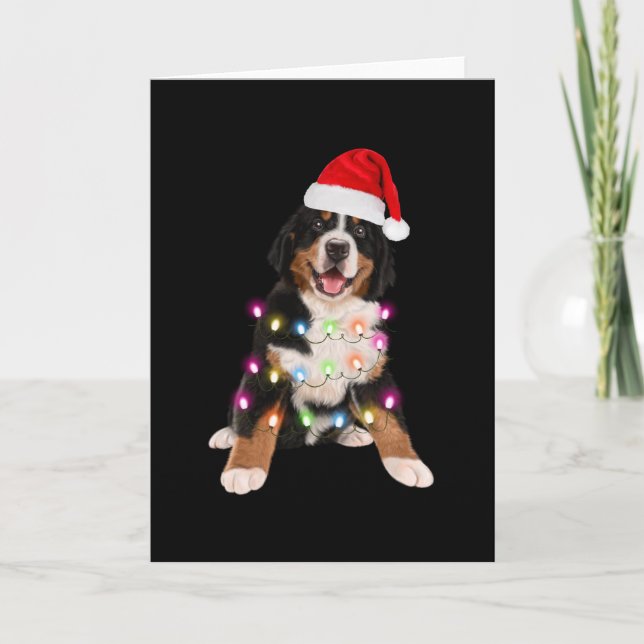 Berner Welpen Weihnachtsgeschenk Karte (Vorderseite)