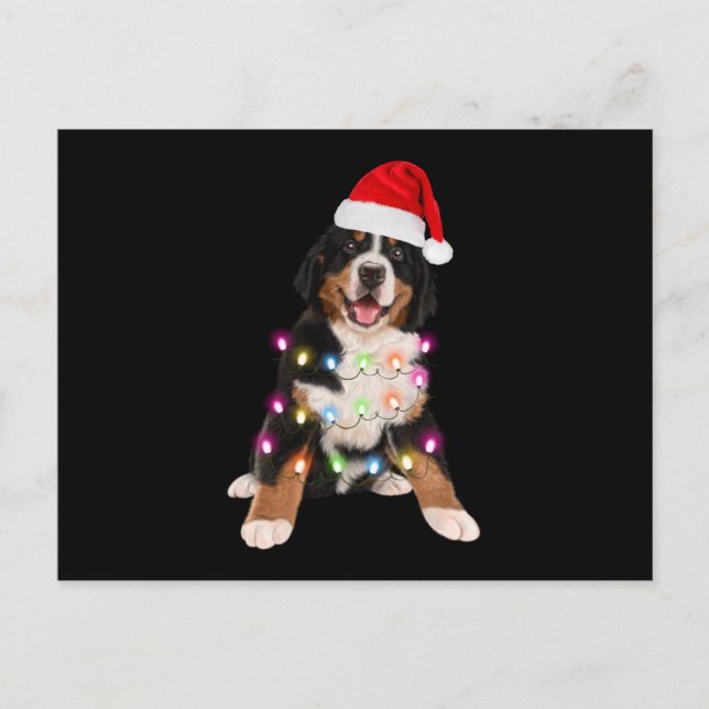 Berner Welpen Weihnachtsgeschenk Postkarte (Vorderseite)