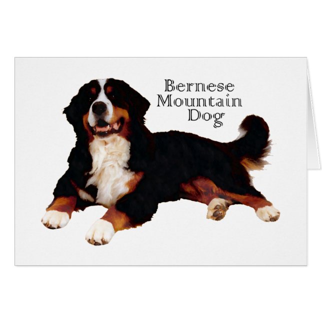 BERNESE (Vorderseite (Horizontal))