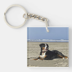 Bernese-Berg-HundLayin auf beach.png Schlüsselanhänger