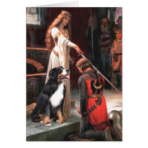 Bernese - Die Akkolade