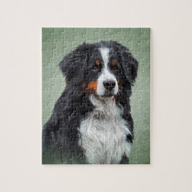 Bernese Gebirgshund (Vertikal)