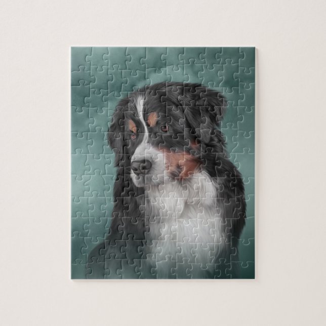 Bernese Gebirgshund (Vertikal)