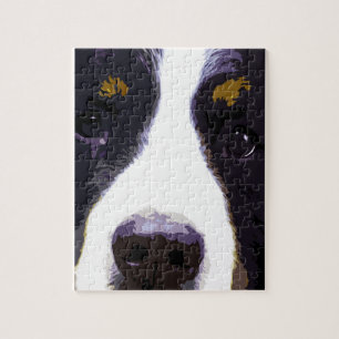 Bernese Gebirgshund