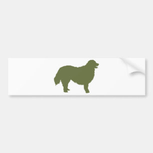 Bernese Gebirgshund Autoaufkleber