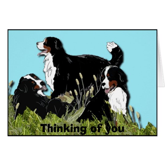 Bernese Gebirgshund Karte