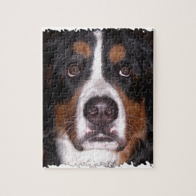 : Bernese Gebirgshunde" "großer Hunde" Hund (Vertikal)