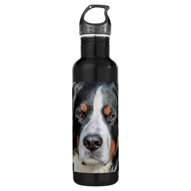 Bernese GebirgshundeFoto-Bild Edelstahlflasche (Vorderseite)