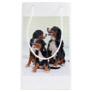 bernese Gebirgshundegruppe Kleine Geschenktüte