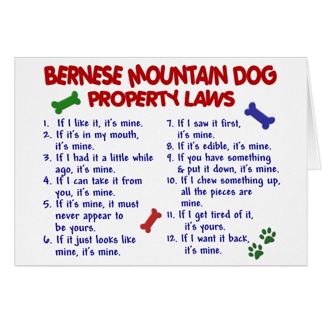 BERNESE GEBIRGShundeigentums-Gesetze 2 (Vorderseite (Horizontal))