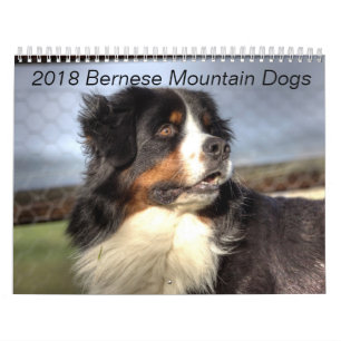 Bernese Gebirgshundekalender 2018 Kalender