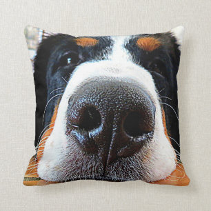 Bernese Gebirgshundekissen Kissen