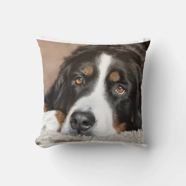 bernese Gebirgshundelegen Kissen (Vorderseite)