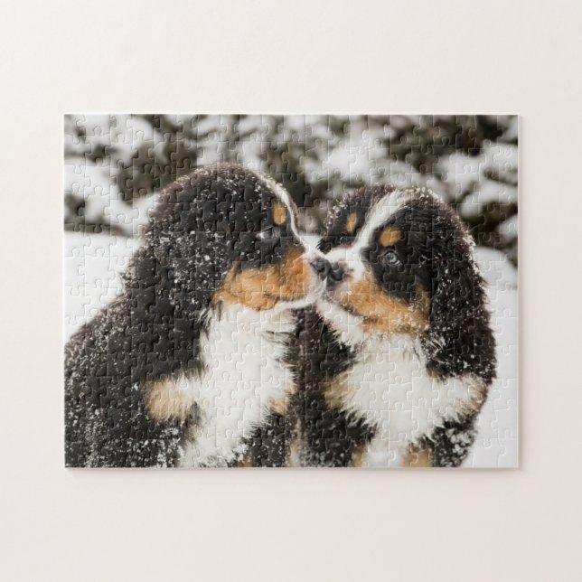 Bernese Gebirgshundemarionetten-Atemzug (Horizontal)