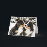 Bernese Gebirgshundemarionetten-Atemzug Karte<br><div class="desc">Bernese Gebirgshundemarionetten Snowy schnüffeln jede andere</div>