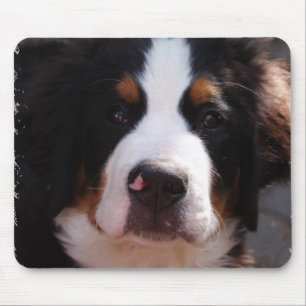 Bernese Gebirgshundemausunterlage Mousepad