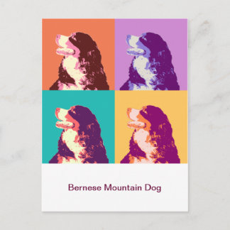 Bernese GebirgshundePop-Kunst Postkarte