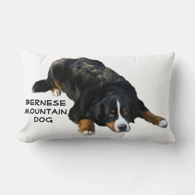 Bernese Gebirgshundewolldecke-Pose-Kissen Lendenkissen (Vorderseite)