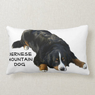 Bernese Gebirgshundewolldecke-Pose-Kissen Lendenkissen