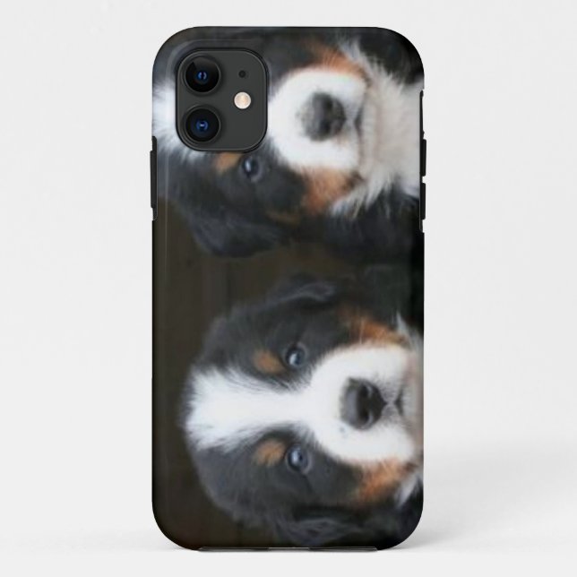 Bernese GebirgshundiPhone 5 Case-Mate ID™ iPhone Hülle (Rückseite)