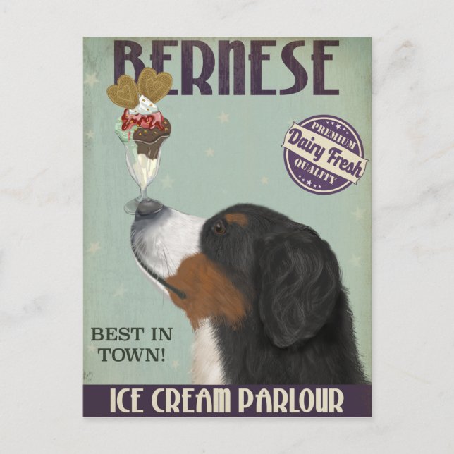 Bernese Ice Cream Postkarte (Vorderseite)