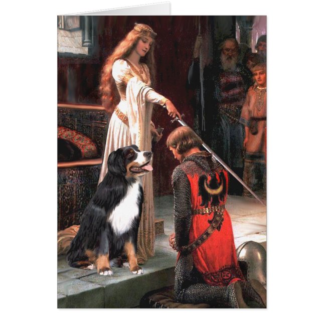 Bernese - L'Accolade (Devant)