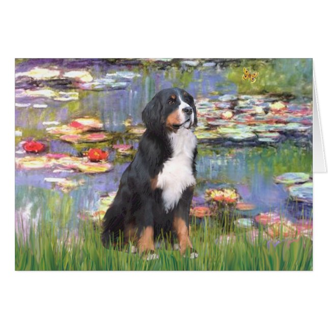 Bernese - Lilies 2 (Vorderseite (Horizontal))