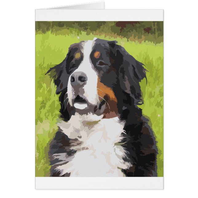Bernese Mountain Dog (Vorne)