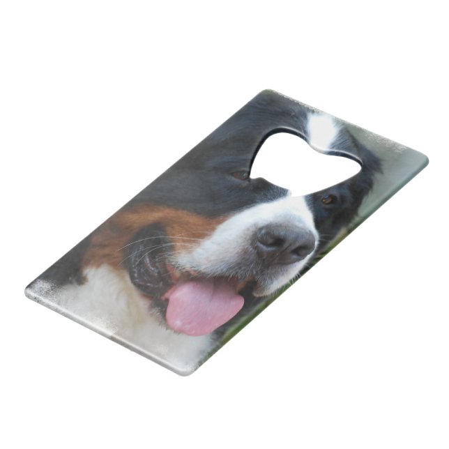 bernese-mountain-dog-7 (Devant Angle)