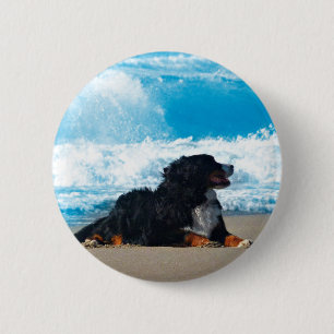 Bernese Mountain Dog am Strand Button