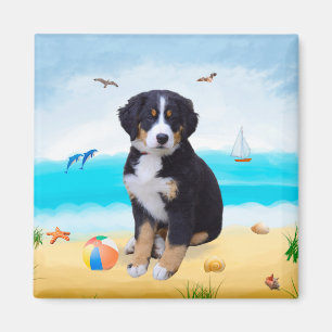 Bernese Mountain Dog am Strand Magnet
