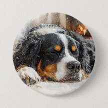 Bernese Mountain Dog