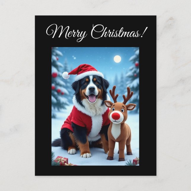 Bernese Mountain Dog Christmas Postkarte (Vorderseite)