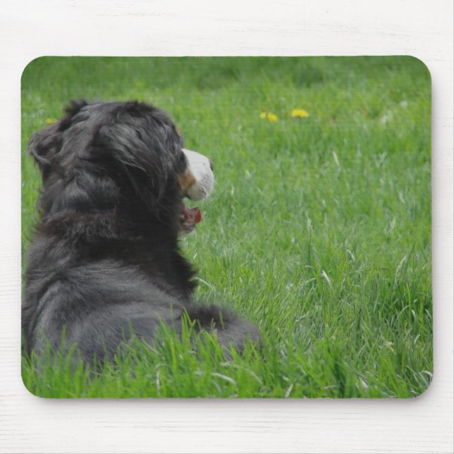 Bernese Mountain Dog Enjoys Sunshine Mousepad (Vorne)