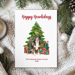 Bernese Mountain Dog Familie Weihnachten