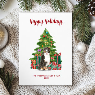 Bernese Mountain Dog Familie Weihnachten