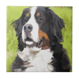 Bernese Mountain Dog Fliese