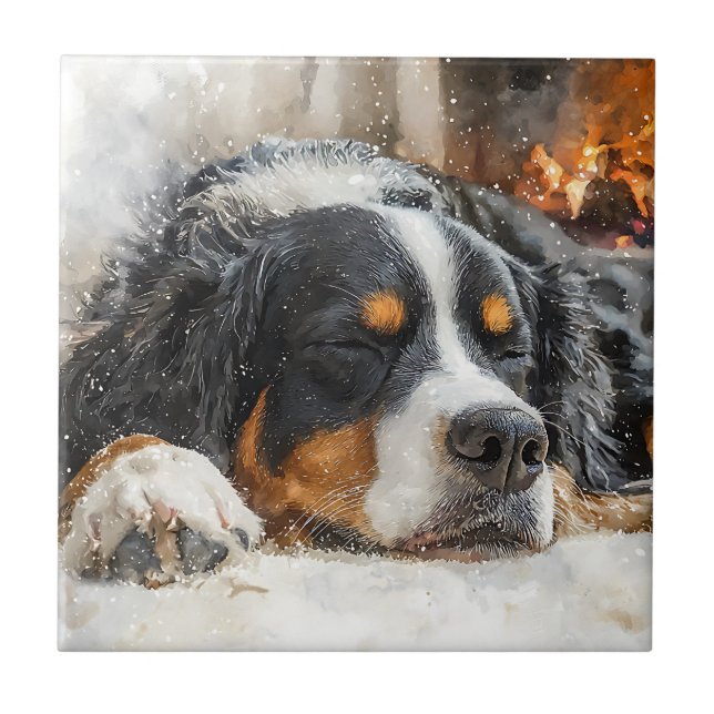Bernese Mountain Dog Fliese (Vorderseite)