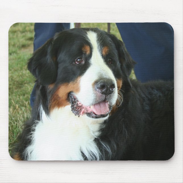 Bernese Mountain Dog Foto Mousepad (Vorne)