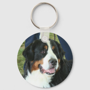 Bernese Mountain Dog Foto Schlüsselanhänger