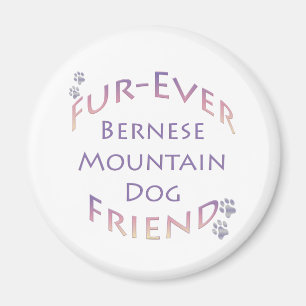 Bernese Mountain Dog Furever Magnet