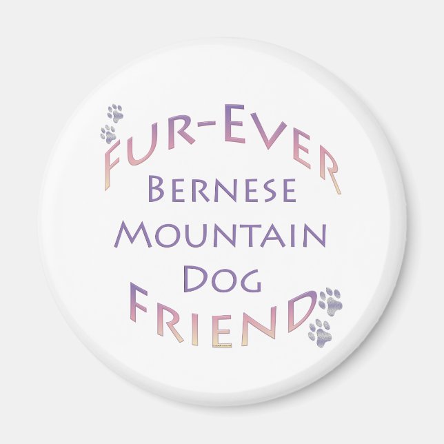 Bernese Mountain Dog Furever Magnet (Vorne)