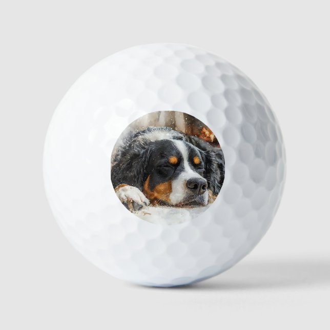 Bernese Mountain Dog Golfball (Vorderseite)
