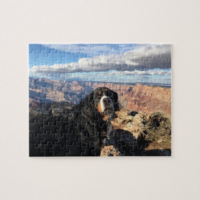 Bernese Mountain Dog Grand Canyon (Horizontal)